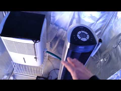 download lagu mp3 mp4 How To Control Humidity In A Room, download lagu How To Control Humidity In A Room gratis, unduh video klip How To Control Humidity In A Room