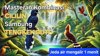 Download lagu Masteran Burung Cililin Sambung Burung Tengkek Buto Jeda Air Mengalir 1 Menit mp3