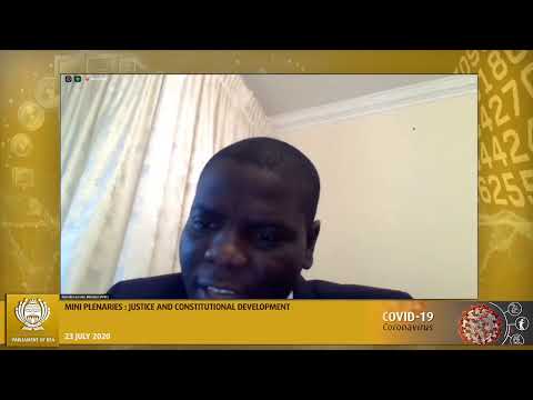 MINI PLENARIES Vote 25: Justice and Constitutional Development  23 July 2020