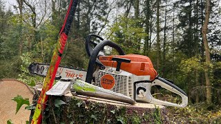 2.9 Million views of a tree felling Viral Video of a Hung up tree, this is how it happened...
