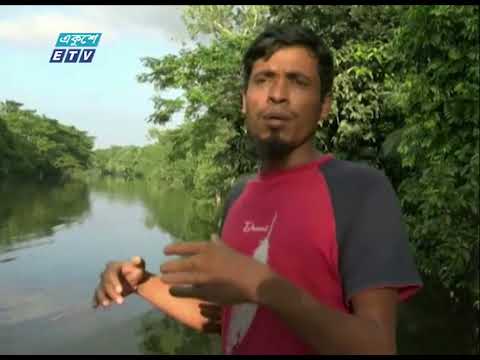 দখলে-দূষণে অস্তিত্ব সংকটে লক্ষ্মীপুরের ৫ উপজেলার ৭৮টি খাল | ETV News