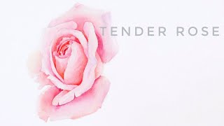 Discover the SECRET Tender PINK Rose Flower Watercolor Painting