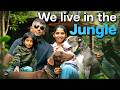 They Left Bengaluru To Live In A Jungle Peace Over Rat Race