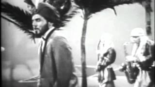 Sam The Sham and the Pharaohs   Wooly Bully