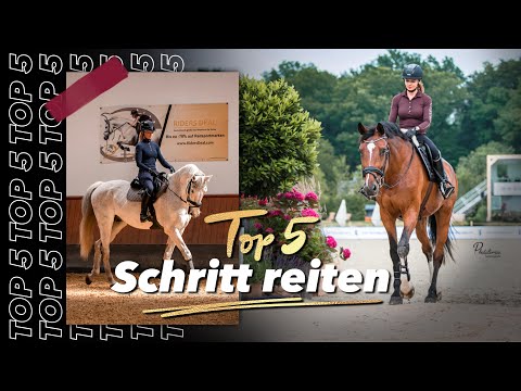 Schritt reiten - so gelingt ein gutes Warm-Up | Top 5 Tipps für euch