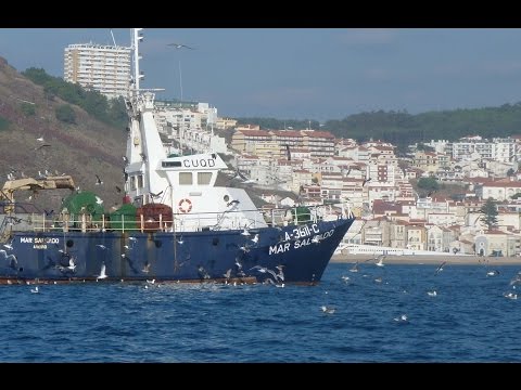 Carnaval Da Nazaré   2016