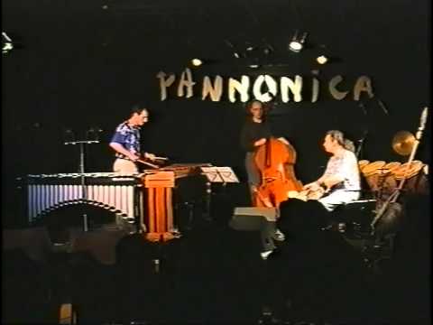 David Patrois Another Trio Live au Pannonica (2000).mov