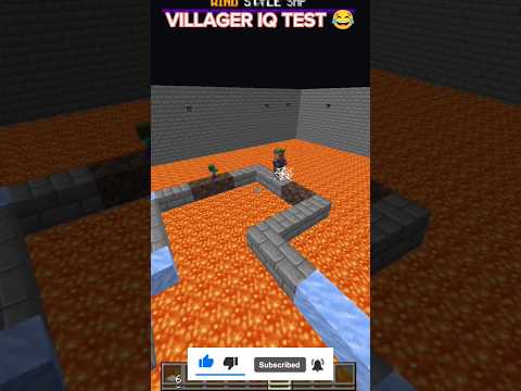 Insane Villager IQ Test Results! 😮 #Minecraft