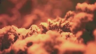 Johnny Cash - The Man Who Couldn&#39;t Cry