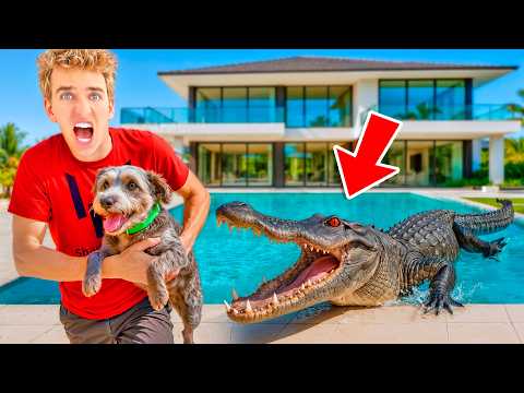 ALLIGATOR ATTACKED MY DOG!