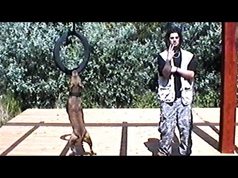 Twelvee, Stolou - Kuzco [Dir. by @YoungFisherman]