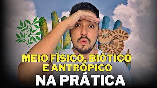 COMO fazer o DIAGNÓSTICO AMBIENTAL nos ESTUDOS AMBIENTAIS (EIA/RIMA) -  com EXEMPLOS + PDF
