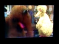 Sesame Street Feathers And Fur