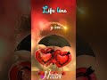 KP Letter Name Status Name Art Video WhatsApp Status 2023 Ayajshaikh3035