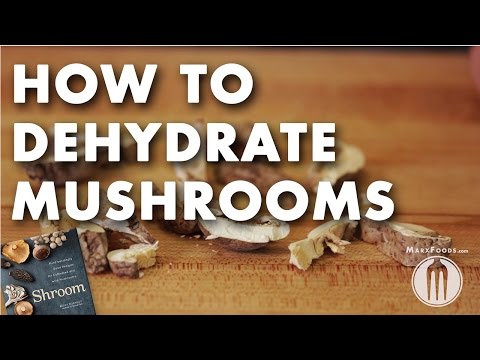 How to Dehydrate Mushrooms Technique Video