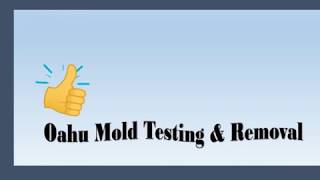 Oahu Mold Testing & Removal | 808-745-1182