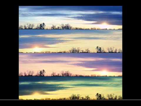 Yasuhisa Watanabe - My Delightful Spec.