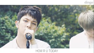 엔플라잉 N.Flying- HOW R U TODAY [BGM ]LIVE 라이브