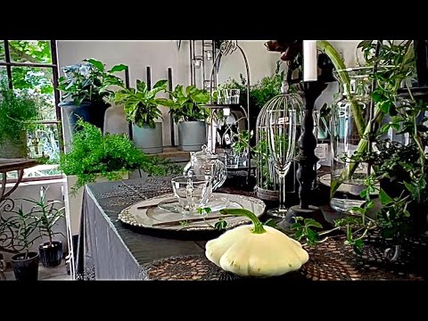 ウィンター ガーデンのエキゾチックなフルーツ 庭の練習