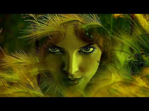 DeeDRAh - My Definition of GoaTrance Vol 2 ᴴᴰ