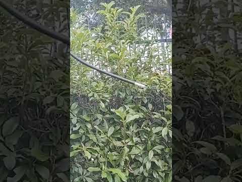 Https Einstein360 Cable Comcast Com