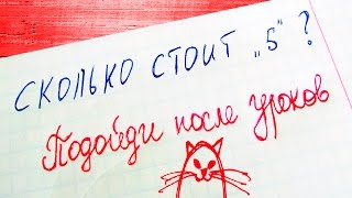 20 УПОРОТОСТЕЙ В ШКОЛЬНЫХ ТЕТРАДЯХ 3Ч