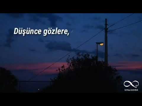 Cem Çınar ~ Düşürme (cover)