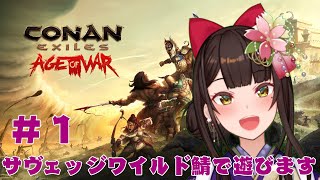 [Vtub] 小箱or個人Vtuber 0520 DD串