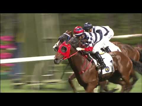 20/4/2022 (602) Packing Famous - J Moreira