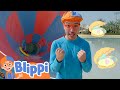 Blippi Searches For The Mother Pearl At The Waterpark Blippi Adventures Live Action Shows