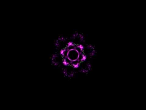 Tara Putra - Crushed in Zion