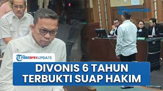 Detik-detik Eks Pejabat Wilmar M Syafei Divonis 6 Tahun Penjara, Terbukti Suap Hakim Kasus Migor