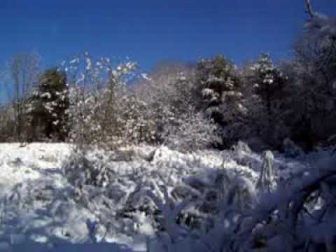 Fairy Forest in the Winter