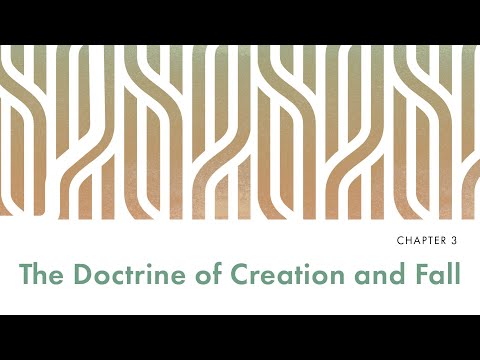 We Believe Chapter 3 The Doctrine of Creation and Fall | Siviwe Notshe
