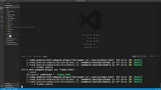 Webpack - 9. 선물