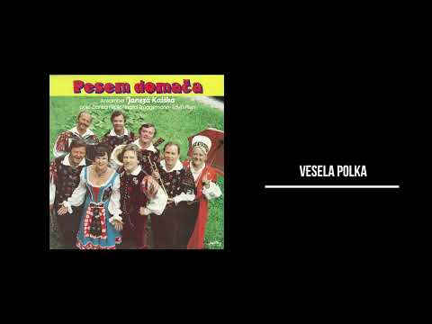 ANSAMBEL JANEZA KALŠEKA - VESELA POLKA