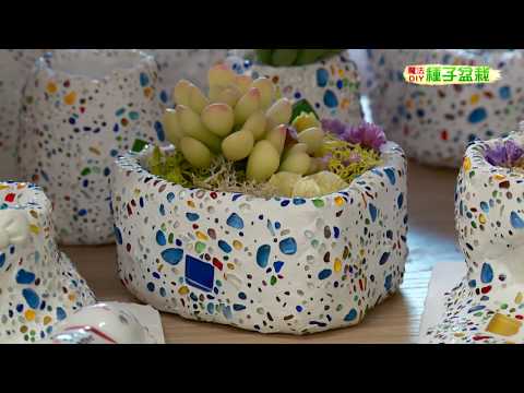 創意台灣：綠莓手作水泥盆