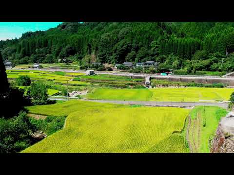 宝珠山地区の棚田＠福岡県東峰村【福岡県観光紹介ショートムービー】