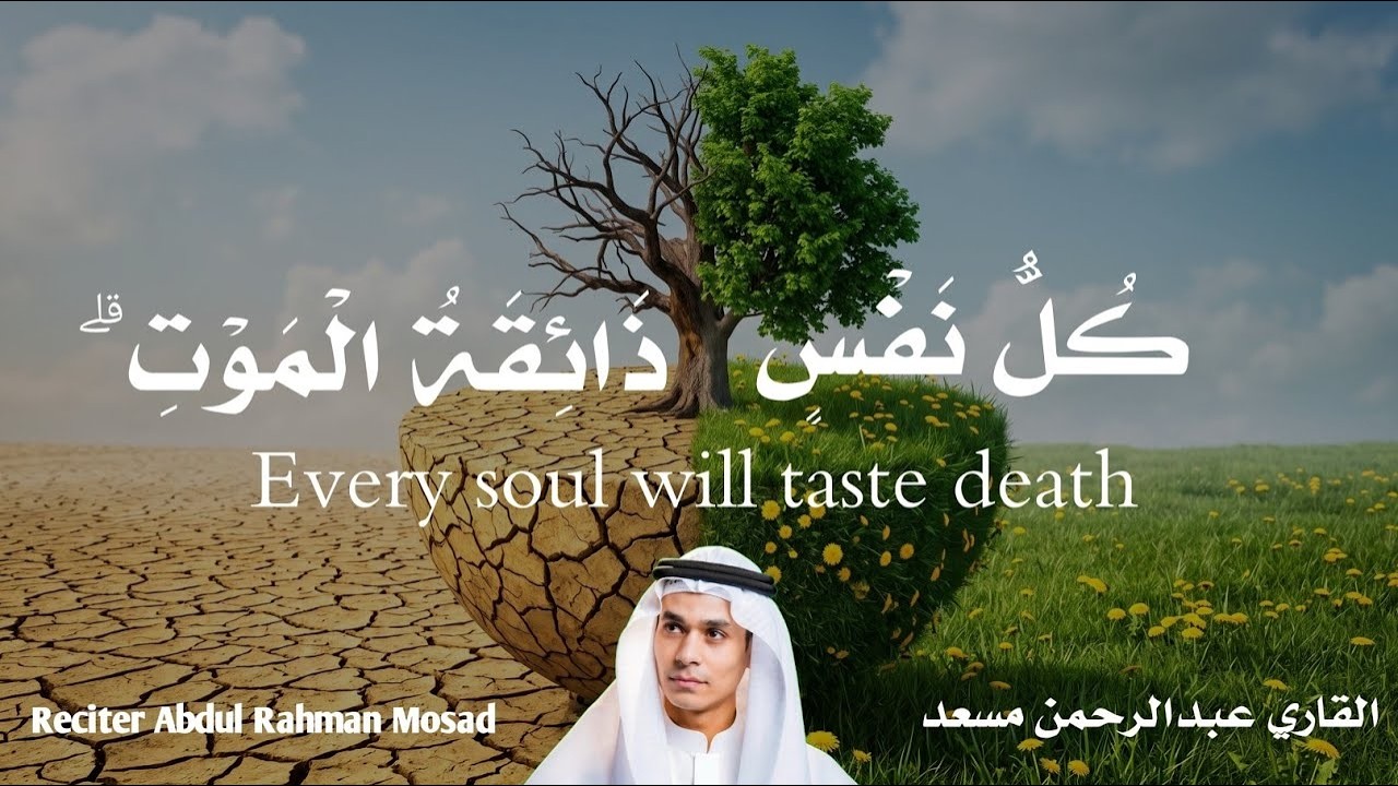 رسالة من القرآن إلى كل قلب 🕊️ | كُلُّ نَفْسٍ ذَائِقَةُ الْمَوْتِ | تلاوة خاش?