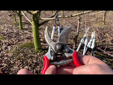 Wybór sekatora jedno i dwurecznego