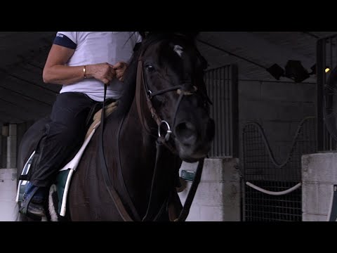 Pegasus World Cup: Doswell at the Top of His Game