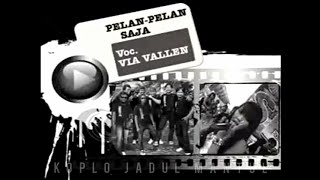 Download lagu PELAN PELAN SAJA - Via Vallen (OM SERA) mp3
