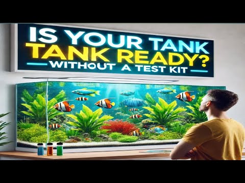 HOW TO KNOW IF AQUARIUM IS CYCLED WITHOUT USING TEST KIT