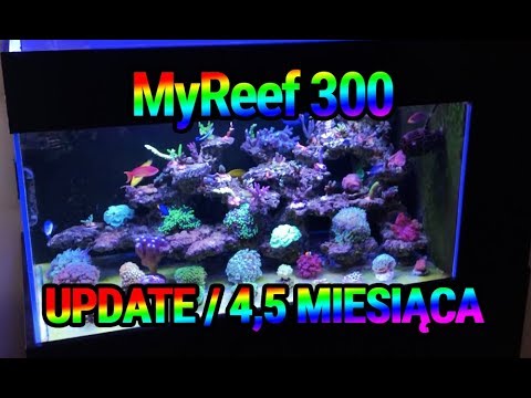 (132) MyReef 300 / Update / 4,5 miesiąca - Akwarium morskie - Reef aquarium