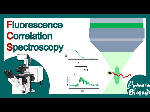 fluorescence correlation spectroscopy | FCS | How does FCS work? | Biological applications of FCS