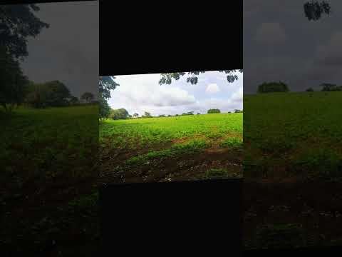 Propiedad en venta de 6 manzanas en DIRIAMBA CARAZO. precio:$120,000 en total. tel: 85753992