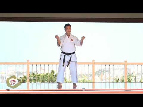 Sensei Akihito Yagi - Sanchin Kata