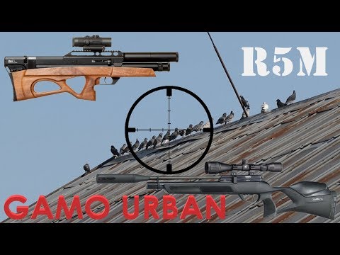 Pest Control with the Edgun Matador and Gamo Urban