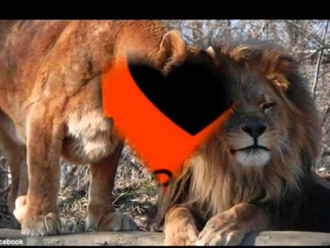 Bracket ft Flavour N' abania - beautiful.wmv