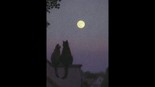 WOS - Terraza (letra)